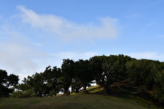 Small Group Guided Sightseeing Tour Visit to Fanal - Additional Information