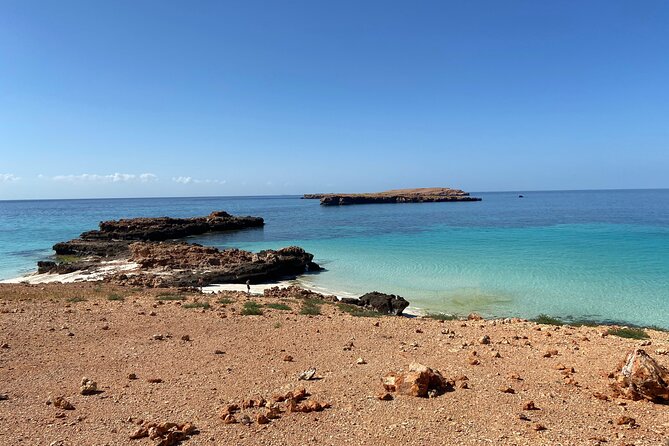 Snorkeling at Dimaniyat Islands and Dolphin Watching - Cancellation Policy