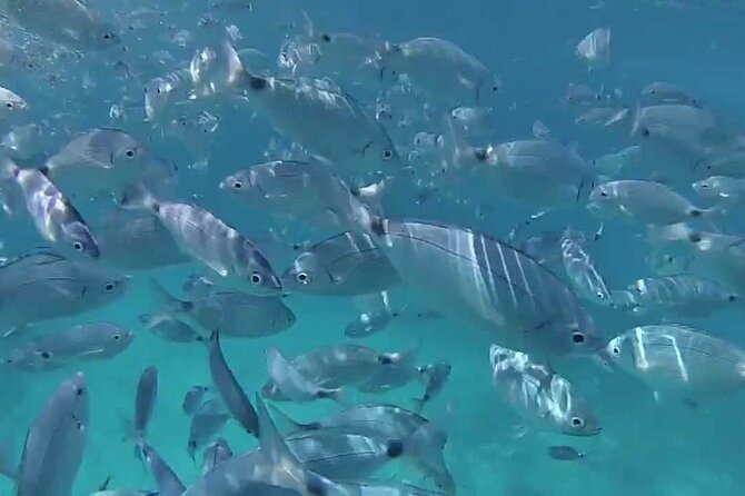 Snorkeling Boat Excursion to Caprera and Maddalena Archipelago - Pricing and Cancellation Policy