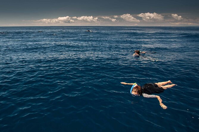Snorkeling Experience in Terceira Island - Tips for First-Time Snorkelers
