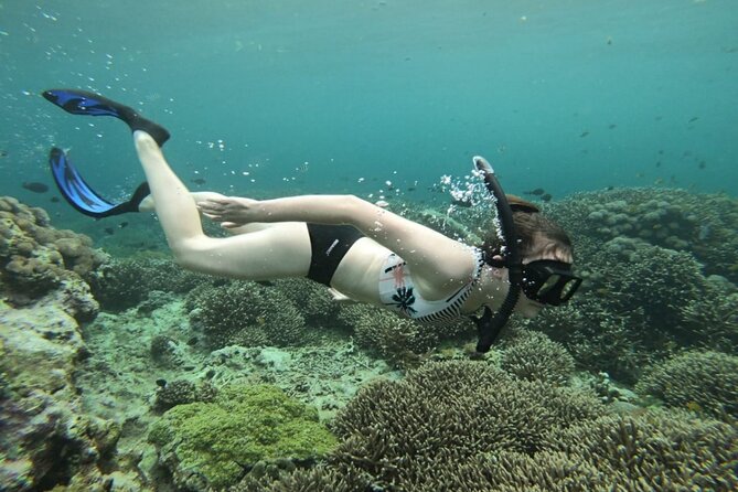 Snorkeling Nusa Lembongan - Snorkeling Trips With Manta Ray