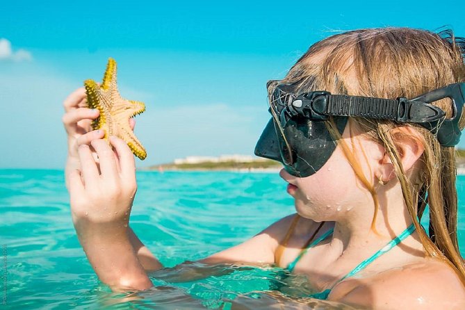 Snorkeling Trip From Muscat - Meeting and Pickup Details
