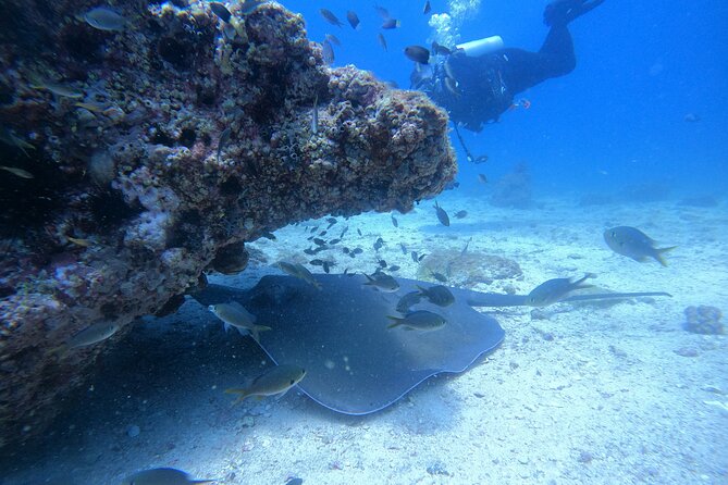 Snorkelling Tours to Daymaniyat Island - Cancellation Policy