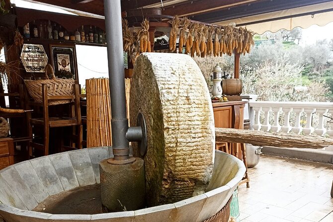 Sorrento: Gastronomic Tour by E-Bike and Visit to Acetaia - Reviews and Ratings