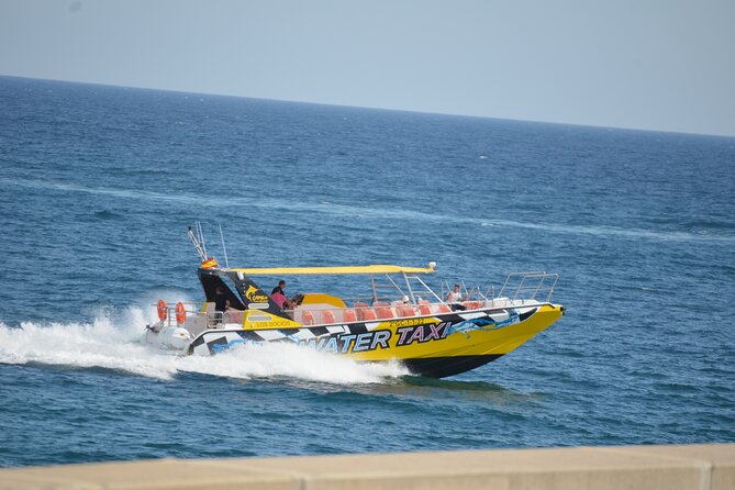 SpeedBoat Shuttle to Lobos Island - Notable Island Biodiversity