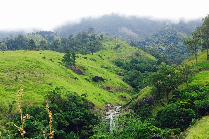 Sri Lanka Round Tour - Additional Tour Information