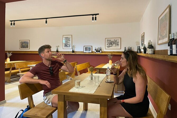 Stons Bite of Delight: Škurla Winerys Wine & Snack - Cancellation Policy Details