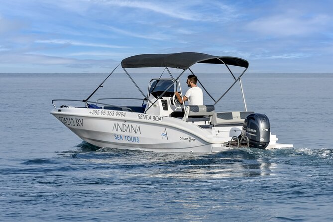 Sunrise Dolphin Watching With Drinks in Rovinj - Cancellation Policy