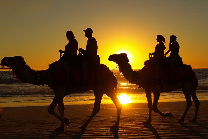 Sunset Camel Riding + Barbecue B&B Grill With Abdo - Customer Reviews