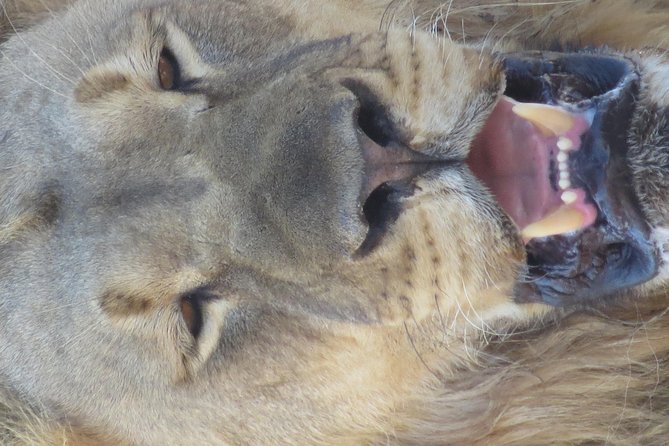 Sunset Cruise ,Chobe Safari Full Day , Airport Transfers Combo 3 - Pickup Details