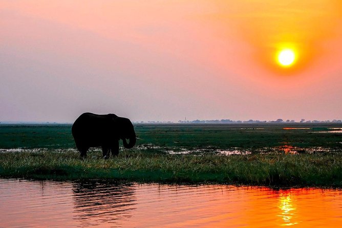 Sunset Cruise on the Zambezi River - Location: Livingstone, Zambia