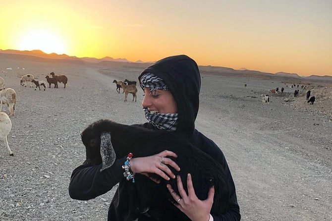 Super Safari Full Day Excursion By ATV Quad & Sunset - Marsa Allam - Tour Highlights