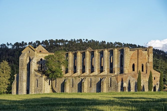 Suvereto Wine Experience PRIVATE TOUR From SIENA - Cancellation Policy