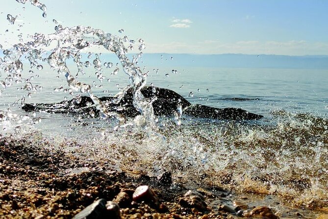 Swim and Lunch in the Dead Sea - Good To Know