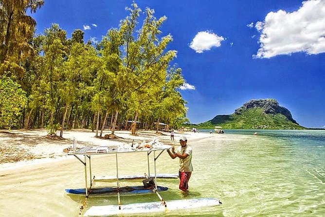 Swim With Wild Dolphins & Benitiers Island With Lunch & Transport - Pricing and Offers