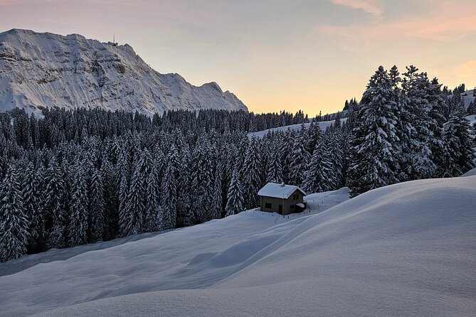 Swiss Alps Tour Grindelwald Lauterbrunnen Interlaken - Booking Information