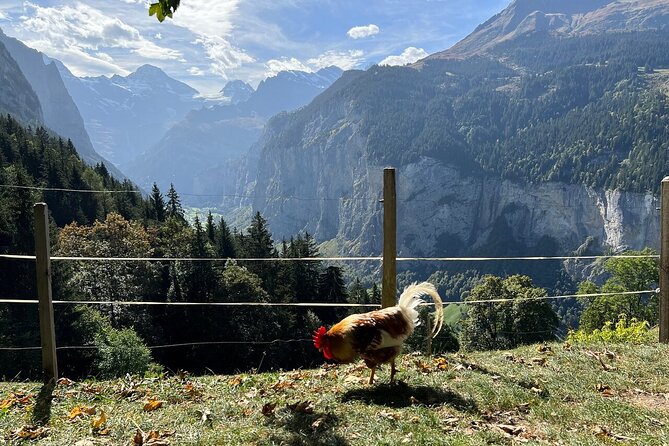 Swiss Countryside Tour in Free-Cars Town - Additional Information for Travelers
