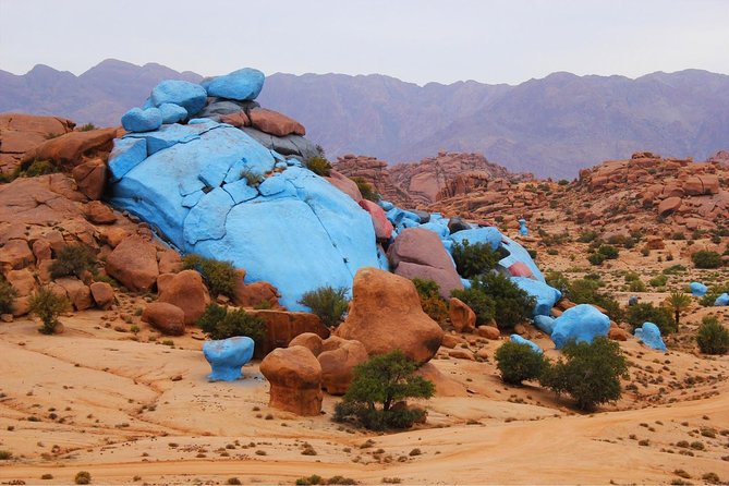 Tafraout and Tiznit Guided Day Tour From Agadir - Insider Tips for the Tour