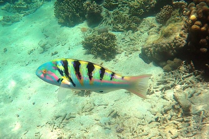 Tanikely Marine Park and Nosy Komba Private Guided Tour - Weather Contingency and Traveler Safety