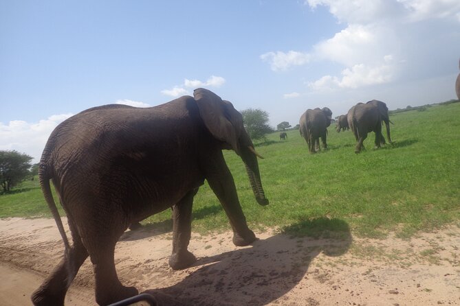 Tanzania Safari 4-day Tour - Frequently Asked Questions