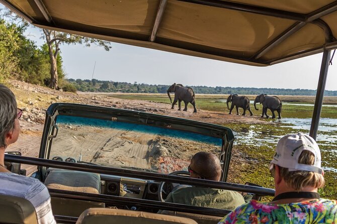 Tarangire, Ngorongoro, Lake Manyara 3-Days - What To Expect