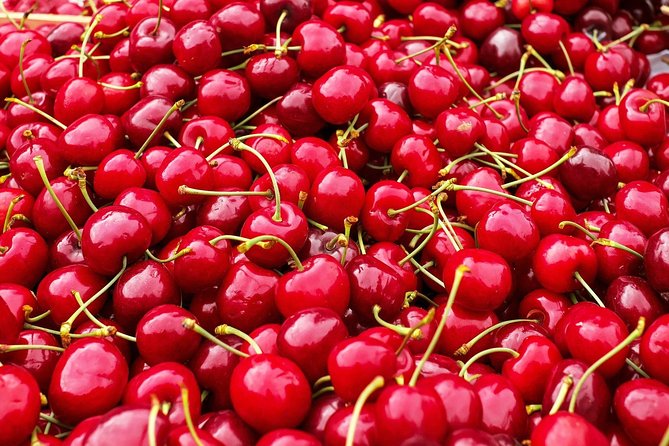 Tastes of Turkey Tour - Frequently Asked Questions