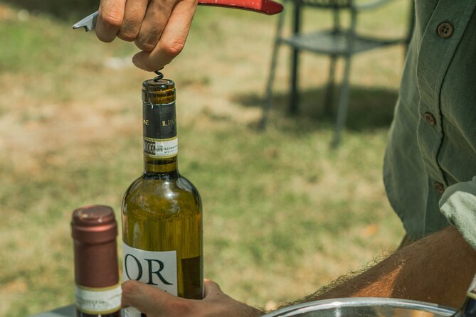 Tasting of Vernaccia, Chianti and Extra Virgin Olive Oil - Meeting and End Points