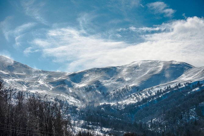 Tbilisi - Bakuriani - Borjomi Private Transfer - Directions