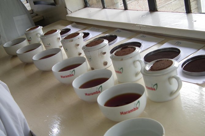 Tea Farm Tour: Kiambethu Tea - Accessibility