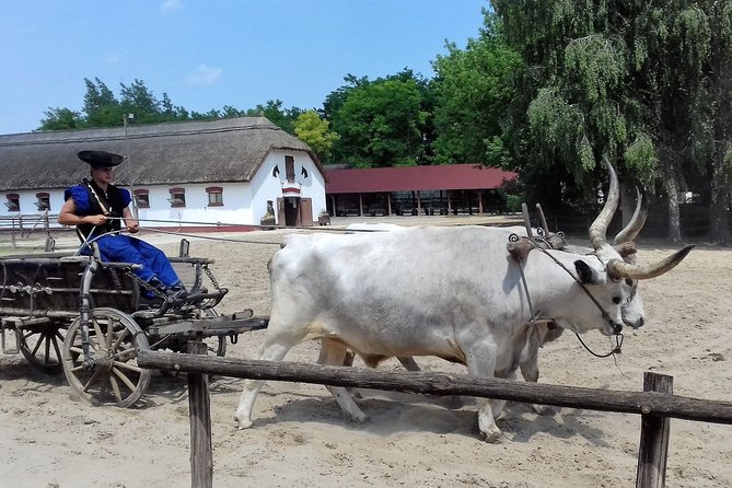 The Puszta Horse Show - Frequently Asked Questions