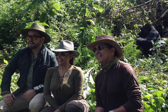 The Virunga Gorillas of Congo & The Nyiragongo Hike Tour (4 Days / 3 Nights) - Tour Logistics