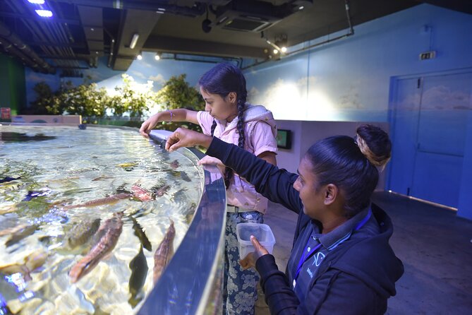Ticket to the Largest Oceanarium of the Mascarene Islands - Pricing and Policies