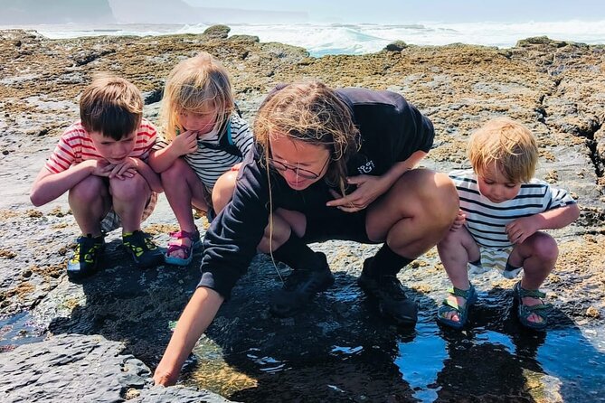 Tide Pool Safari in Monte Clérigo Beach - Frequently Asked Questions