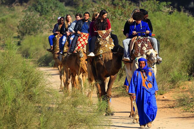 Top Pack 3: City Tour + Camel Ride + Crocodile Park - Frequently Asked Questions