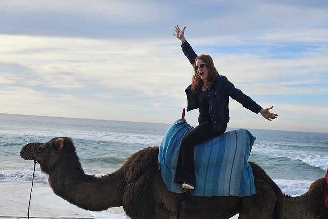 Top VIP Private Tour of Tangier From Estepona All Inclusive - Ferry Tickets and Transportation