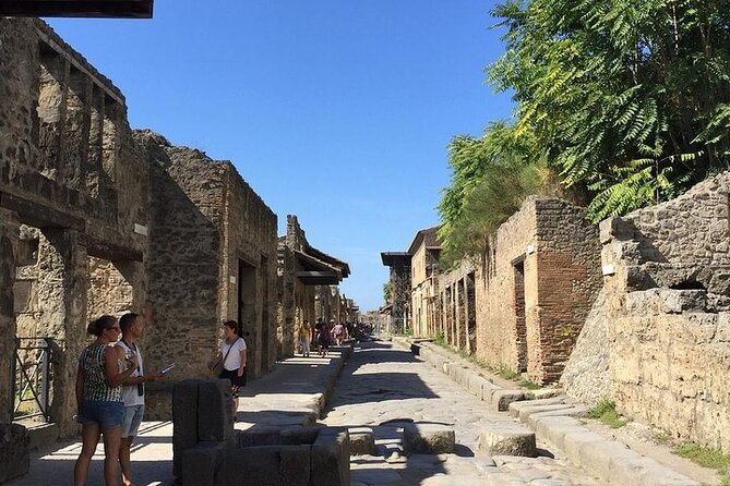 Tour at Ancient City of Pompeii - Tour Highlights