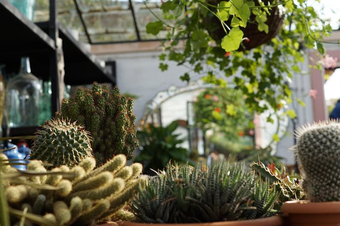 Tour to Gardenia Shevardnadze Flea Market and Tbilisi Old Town - The Sum Up