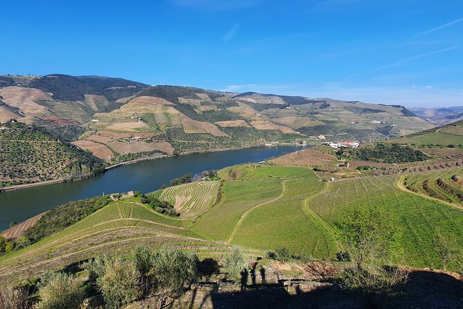 Tour to the Douro Valley From Porto 2 Wineries, Lunch and Boat - Pricing Information
