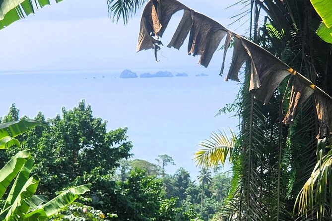 Tours in São Tomé - Accessibility Notes