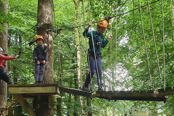 Tree Top Highwire - 2 Different Courses for Different Age Groups - Location Details and Meeting Point