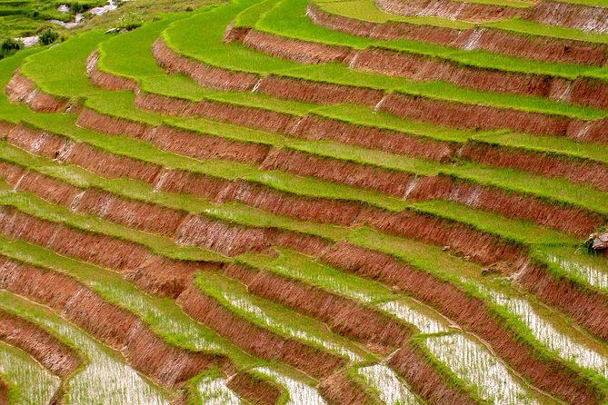 8 Best Tours In Madagascar