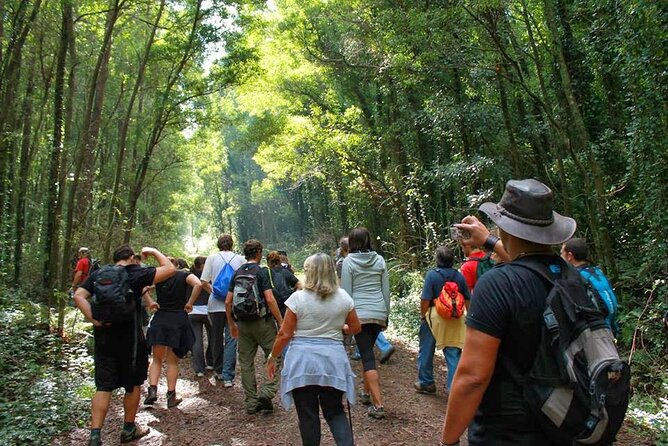 Trekking in Portugal: Serra De Sintra Natural Park - What To Expect During Trekking