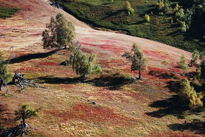 Trekking in Tusheti - Gear Rental and Luggage Transportation