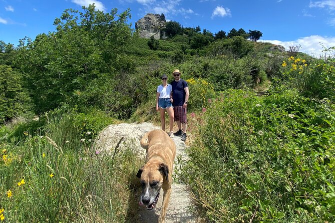 Trekking on the Top of Epomeo Mont in Ischia With Local Guide - Additional Information for Participants