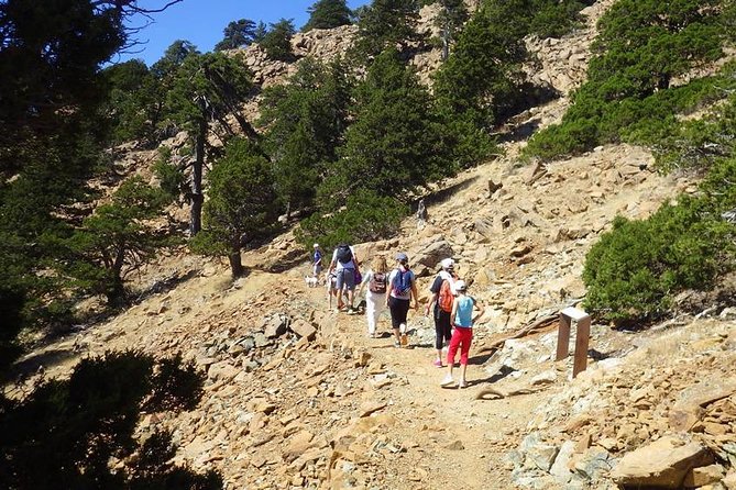 Troodos Walking Trip (Artemis +/Myllomeris Waterfalls) - Private From Nicosia - The Sum Up