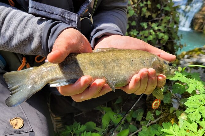 Trout Fishing in Turkey - Pickup Information