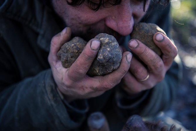 Truffle Hunting and Wine Tasting With Lunch Near Chieti - Operator and Cancellation Policy