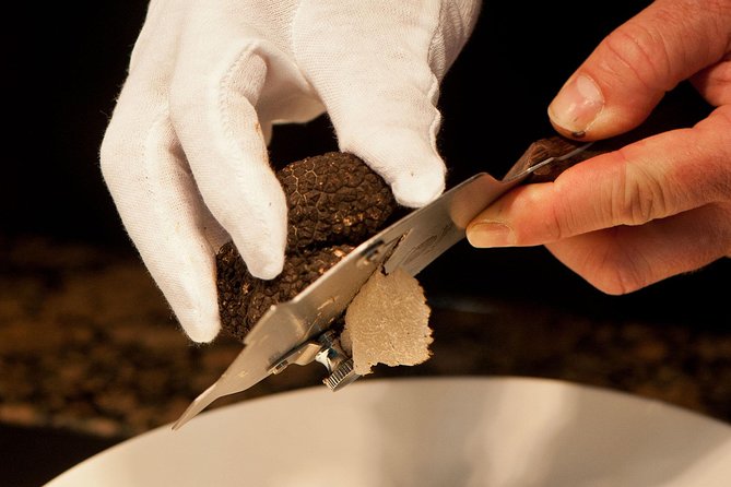 Truffle Hunting in the Woods of Istria and Wine Tasting With Alex - Enjoy a Delectable Lunch Spread