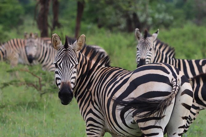 Tsavo Expedition Safari - Cancellation Policy