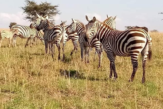 Twelve Days Amazing Tour in Uganda - Cancellation Policy and Refunds